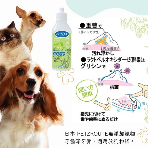 日本製造 PETZROUTE 毛孩專用牙齒潔淨齒垢凝膠